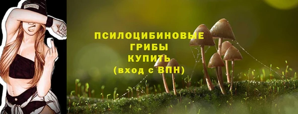 дурь Абинск