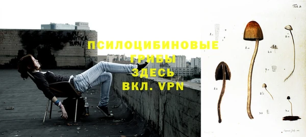 твердый Абаза