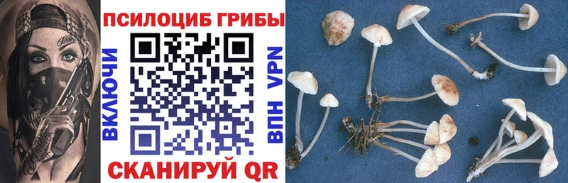 Псилоцибиновые грибы прущие грибы  Арамиль 
